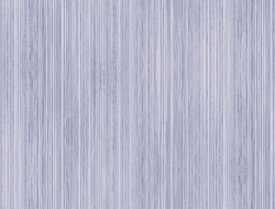 Giấy Dán Tường Phòng Khách Cao Cấp SN20 Giấy Dán Tường Phòng Khách Cao Cấp SN20