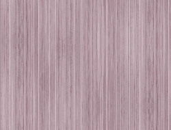 Giấy Dán Tường Phòng Khách Cao Cấp SN21 Giấy Dán Tường Phòng Khách Cao Cấp SN21