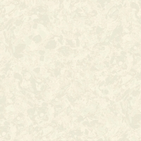 Giấy Dán Tường Phòng Khách Cao Cấp SR09