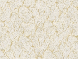 Giấy Dán Tường Phòng Khách Cao Cấp SR10 Giấy Dán Tường Phòng Khách Cao Cấp SR10