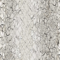 Giấy Dán Tường Phòng Khách CL19 Giấy Dán Tường Phòng Khách CL19