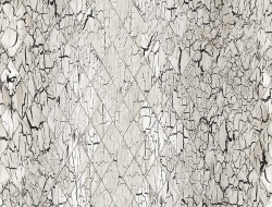 Giấy Dán Tường Phòng Khách CL19 Giấy Dán Tường Phòng Khách CL19