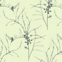 Giấy Dán Tường Phòng Khách NL658 Giấy Dán Tường Phòng Khách NL658