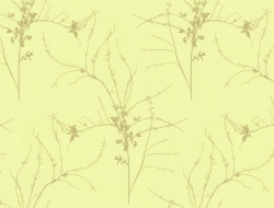 Giấy Dán Tường Phòng Khách NL659 Giấy Dán Tường Phòng Khách NL659