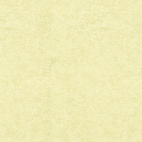 Giấy Dán Tường Phòng Khách NL668