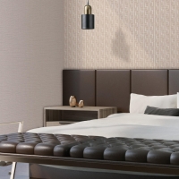 Giấy Dán Tường Phòng Khách WT20