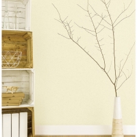 Giấy Dán Tường Ro0302