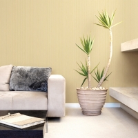 Giấy Dán Tường Ro0313