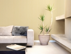 Giấy Dán Tường Ro0313