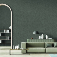 Giấy Dán Tường Xa11