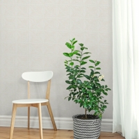 Giấy Dán Tường Phòng Ngủ M1103 Giấy Dán Tường Phòng Ngủ M1103