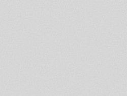 Giấy Dán Tường Ro0342 Giấy Dán Tường Ro0342