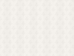 Giấy Dán Tường Ro0351 Giấy Dán Tường Ro0351