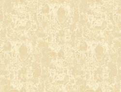 Giấy Dán Tường Rz07 Giấy Dán Tường Rz07