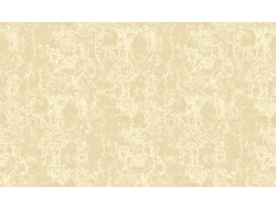 Giấy Dán Tường Rz07