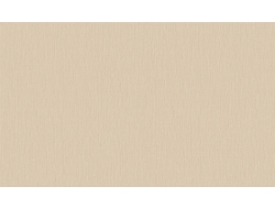 Giấy Dán Tường Rz23