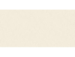 Giấy Dán Tường Rz39