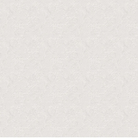 Giấy Dán Tường Rz51 Giấy Dán Tường Rz51