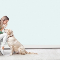 Giấy Dán Tường Phòng Ngủ Vi1116 Giấy Dán Tường Phòng Ngủ Vi1116