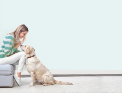 Giấy Dán Tường Phòng Ngủ Vi1116