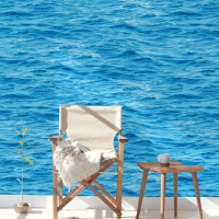 Giấy Dán Tường Bs1145