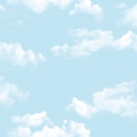 Giấy Dán Tường Trẻ Em Dw1207 Giấy Dán Tường Trẻ Em Dw1207