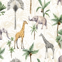 Giấy Dán Tường Trẻ Em Dw1217 Giấy Dán Tường Trẻ Em Dw1217