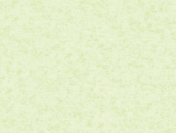 Giấy Dán Tường Trẻ Em Dw1219 Giấy Dán Tường Trẻ Em Dw1219