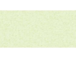 Giấy Dán Tường Trẻ Em Dw1219