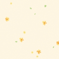 Giấy Dán Tường Trẻ Em Dw1242 Giấy Dán Tường Trẻ Em Dw1242