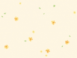 Giấy Dán Tường Trẻ Em Dw1242