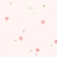 Giấy Dán Tường Trẻ Em Dw1243 Giấy Dán Tường Trẻ Em Dw1243