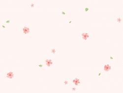 Giấy Dán Tường Trẻ Em Dw1243