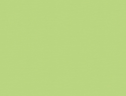 Giấy Dán Tường Trẻ Em Dw1264 Giấy Dán Tường Trẻ Em Dw1264