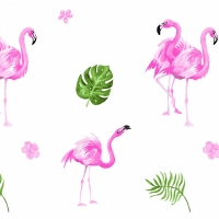 Giấy Dán Tường Phòng Trẻ Em HT685