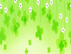 Giấy Dán Tường Phòng Trẻ Em TE514