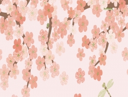 Giấy Dán Tường Phòng Trẻ Em TE515