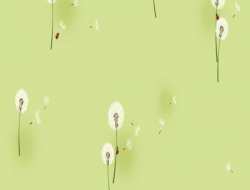 Giấy Dán Tường Phòng Trẻ Em TE563