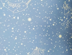 Giấy Dán Tường Phòng Trẻ Em TE564