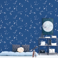 Giấy Dán Tường Pln1101 Giấy Dán Tường Pln1101