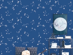 Giấy Dán Tường Pln1101 Giấy Dán Tường Pln1101