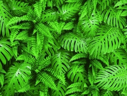 Giấy Dán Tường Quán Coffee He1105 Giấy Dán Tường Quán Coffee He1105