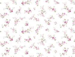 Giấy Dán Tường Spa SP7211 Giấy Dán Tường Spa SP7211