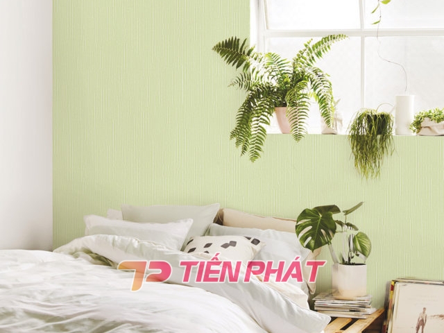 Giấy Dán Tường Trà Sữa TS8822 Giấy Dán Tường Trà Sữa TS8822