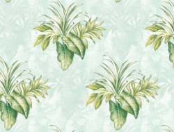 Giấy Dán Tường Trường Học TH8827 Giấy Dán Tường Trường Học TH8827