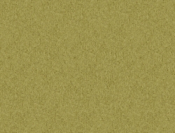 Giấy Dán Tường Trường Học TH8894 Giấy Dán Tường Trường Học TH8894