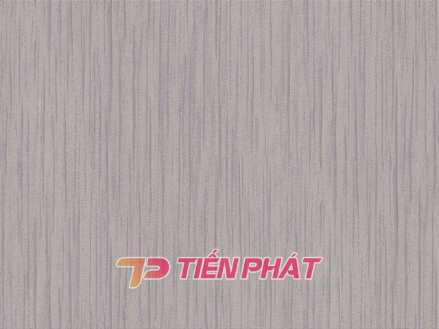 Giấy Dán Tường Văn Phòng VP5601