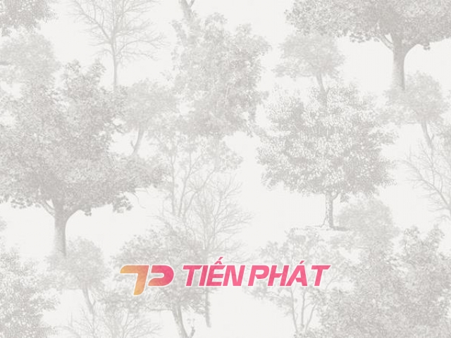 Giấy Dán Tường Văn Phòng VP5619