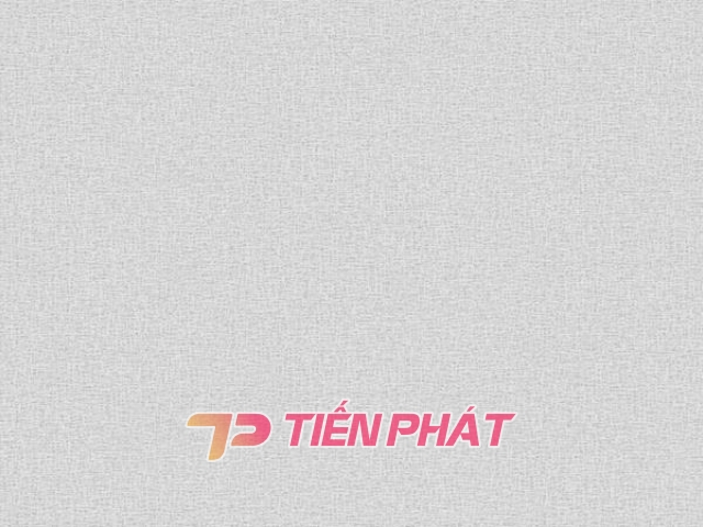 Giấy Dán Tường Văn Phòng VP5621