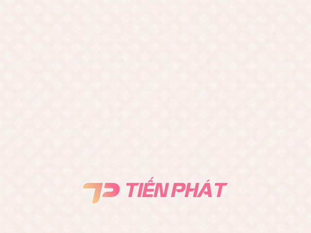 Giấy Dán Tường Văn Phòng VP5623 Giấy Dán Tường Văn Phòng VP5623